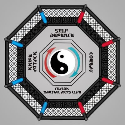 BandaraMaithree's profile picture. martial arts