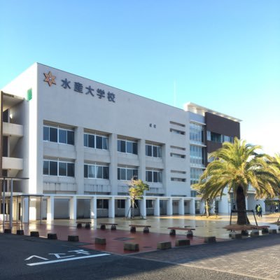 水産大学校essクラブ Yuki Twitter 水産大学校essクラブ Yuki Twitter