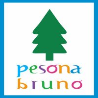PesonaBruno (@pesonabruno) 's Twitter Profile