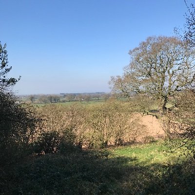 grumpygit196's profile picture. Retired