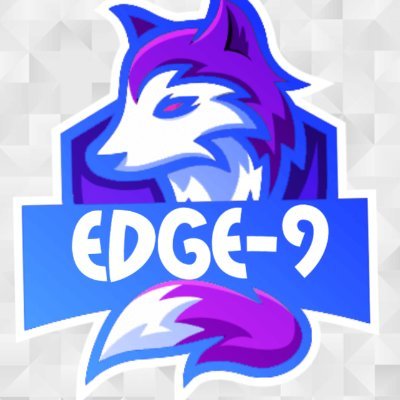 New eSports organization! Est. 2020.