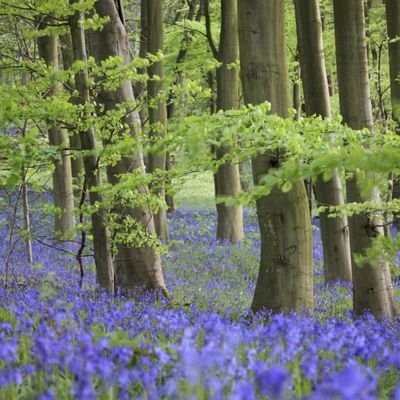 laura1998102's profile picture. 