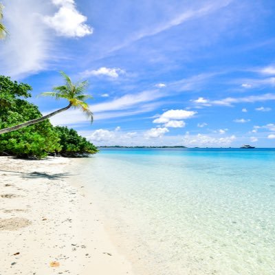 CBsnacuDIlm3CiO's profile picture. お漏らし おむつに興味がある男女問わず繋がりたいです