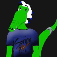 Spring Park Elementary (@springparkgator) 's Twitter Profile