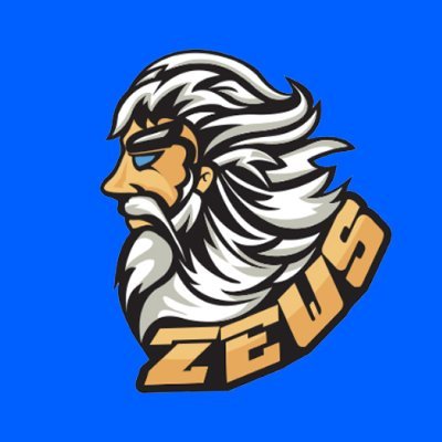 ZEWS