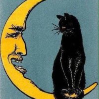 Il Gatto Nero(@gattocciao) 's Twitter Profile Photo