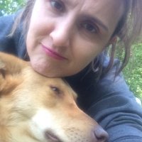 Paula Sparks 🇺🇦 (@paulasparkslaw) 's Twitter Profile