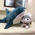 ShouPi (@shoupi2dai) Twitter profile photo ShouPi (@shoupi2dai) Twitter profile photo