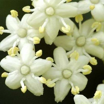 mahdi_alarafat's profile picture. طباعة الملفات بالصيغ النصية بطريقة برايل تواصل معي عبر الرابط الموجود لخدمتك او تواصل معي على 0535388856