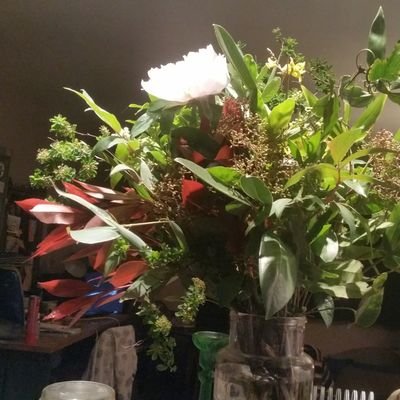 MRgences's profile picture. Maboul Kitchen, observatrice des abusé~es, motivée et lucide. Pour un changement radical. Intéressée de politique au sens ethymo. Écolo depuis plusieurs années.