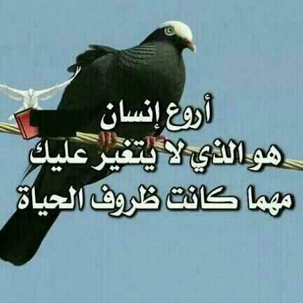 jB7l4igDvp1cdht's profile picture. ‏اللهم لك الحمد والشكر على نعمة هذا الحياة رووعه
