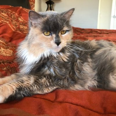 marcewicz_may's profile picture. 