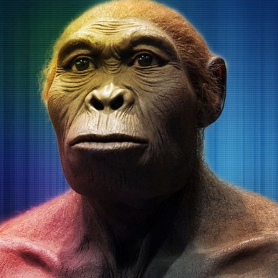 HHobilis's profile picture. 