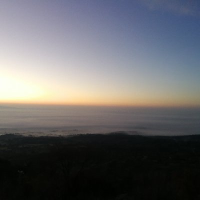 gusharaque's profile picture. Consejos vendo, pero para tí no tengo. Así que a correr por ahí, que ya estás tardando.