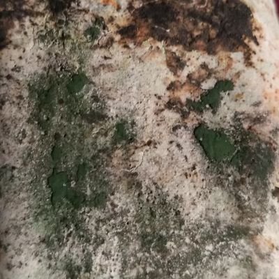 claire_carrion's profile picture. 🇺🇦