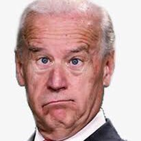 | Minors fighting against the election of former vice president and current rapist @JoeBiden | RTs are not endorsements