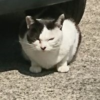 ぺーちゃん (@north24pe) 's Twitter Profile