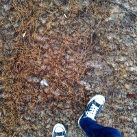 A_A (@alfianto_alwi) 's Twitter Profile