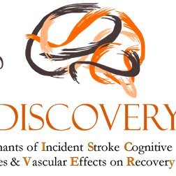 Determinants of Incident Stroke Cognitive Outcomes and Vascular Effects on RecoverY (DISCOVERY) Network (U19NS115388). Novel. Nationwide. Funded by @NIH