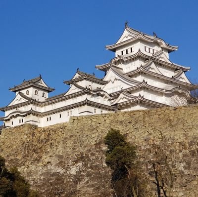 ライフワークは日本100名城、続日本100名城スタンプコンプリートです！FXをはじめとする投資にも興味あり。