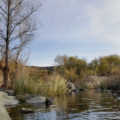 BahHumburgg's profile picture. 