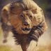 KOFI LION (@tigerkwaku) Twitter profile photo KOFI LION (@tigerkwaku) Twitter profile photo