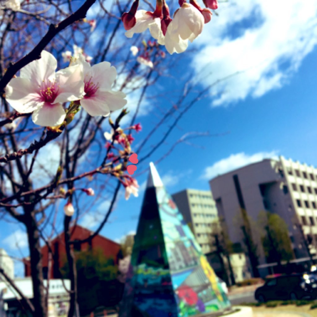 hiro_min_iren's profile picture. ☘医療を志す高・大学生向け企画を開催 🙇無言フォロー失礼します 💡DMの返信は平日日中がメイン🌈奨学金制度あります⇨https://t.co/A7lmRgxSVP