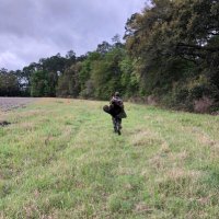 JFF (@anthonydylans2) 's Twitter Profile