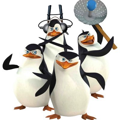 cyberpenguins1's profile picture. 