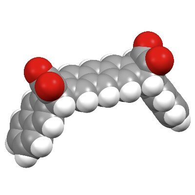 京都大学化学研究所
有機元素化学研究室 山田研究室