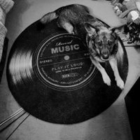 Sen (@s_nervt) Twitter profile photo