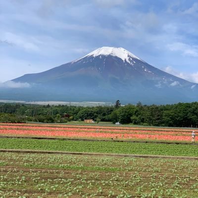 使い方よくわからず