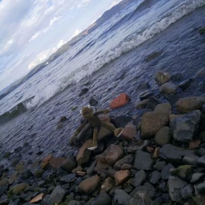 Lll02869975's profile picture. Nothing