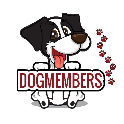 We love dogs more than anything! Do you have a dog? Join our family! Here you will find dog tips, education and everything related to our 4-legged best friends.