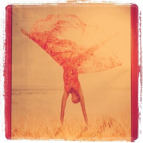 BalletBlossom's profile picture. I, a retired White Swan, will share with you all the proud artistic affairs inspired by the rich & sublime world, called Ballet.