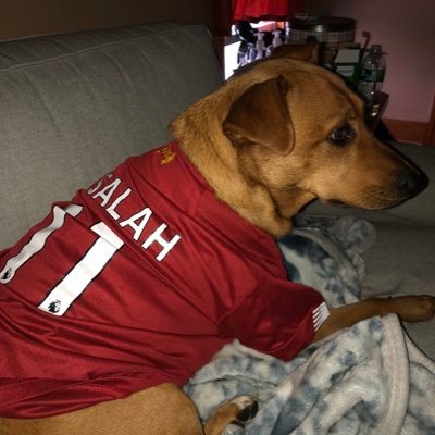 Nate_McGann's profile picture. Are you pondering what I'm pondering?