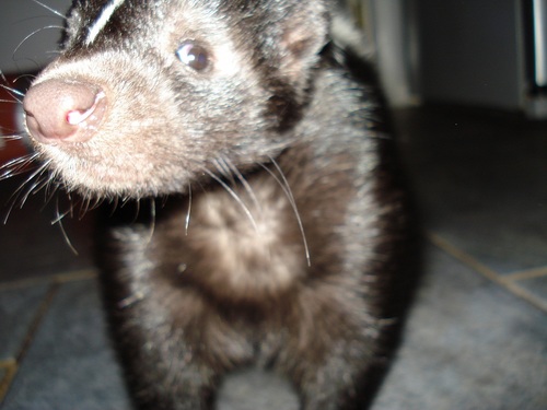 Paradoxess's profile picture. Paradoxess is uncertain how any worthwhile existence could possibly be summarised in less than 160 characters.  Although hers just has been.