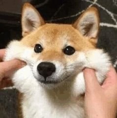 mm6sJ5fS9lJyWfe's profile picture. naaaaaaaaaaa