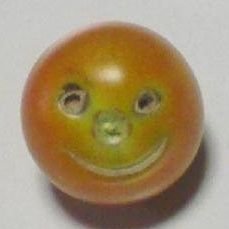とまと明良さんのプロフィール画像