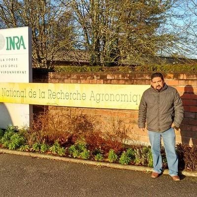 Profesor de la Facultad de Ciencias Agrícolas. Universidad Autónoma de Chiapas.