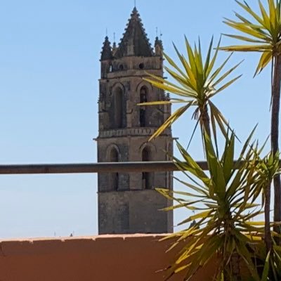 vitxet's profile picture. Ganxet de tota la vida