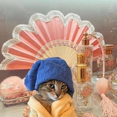 elliegcole's profile picture. drippin’ and hydrated