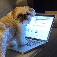 Spannerinmyworks (@spannerinme) 's Twitter Profile