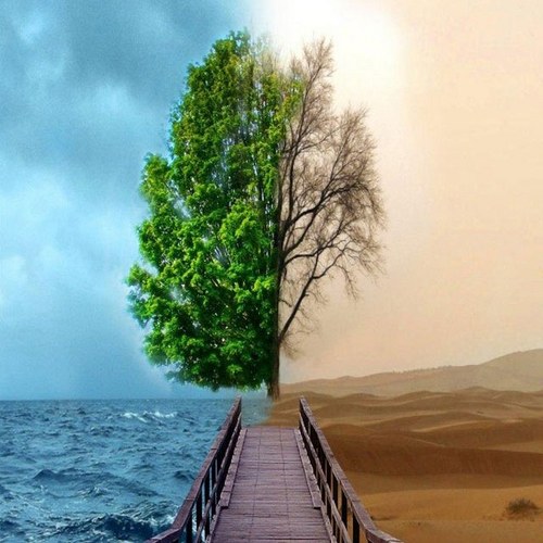 StaceyShrout's profile picture. Entrepreneur - loves business and yoga. Striving to find the balance. Want to teach the world what I learn.