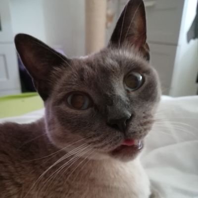 Maylani9080's profile picture. Love Zizigom 💗