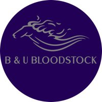 B & U Bloodstock(@BnUBloodstock) 's Twitter Profile Photo