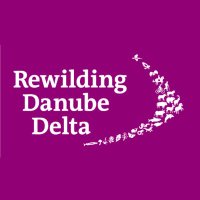 Rewilding Danube Delta(@RewildingDD) 's Twitter Profile Photo