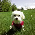 Molly Willow (@preciousmdub) Twitter profile photo Molly Willow (@preciousmdub) Twitter profile photo