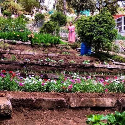 akbhavana1's profile picture. AKBHAVANA