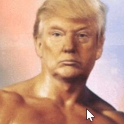 bagofmonkeynuts's profile picture. 